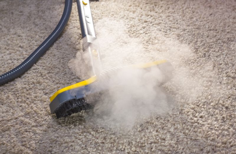 Deep Carpet Cleaning Process